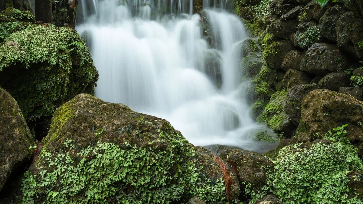 Serene waterfall cascading over rocks covered with lush green moss in a forest setting.